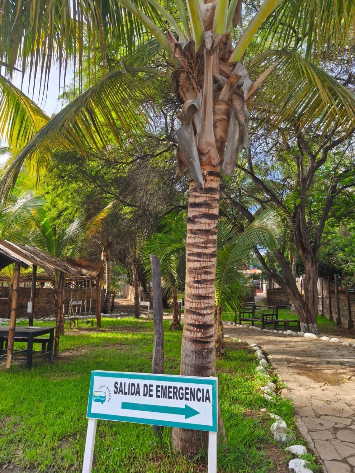 Loki Del Mar Hostel Máncora Exterior foto